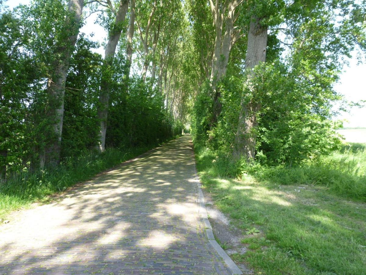 Vakantiewoning Domburg Do31 Exteriör bild